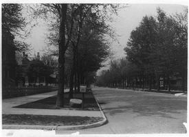 Vista de una calle bordeada por árboles en un barrio residencial de Indianapolis.
