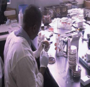  Laboratory services and networks in Africa