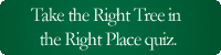 Take the Right Tree in the Right Place Quiz