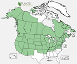 New Distributional Maps on NRCS PLANTS Web Site