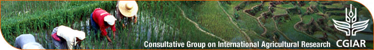 CGIAR: Consultative Group on International Agricultural Research