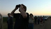 Rare Roost: Tree Swallows swarm to Tracy cornfield