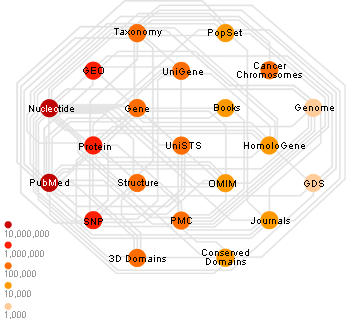 click here to see the Model of Entrez Databases