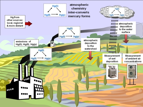 Graphical Display of Mercury Cycle
