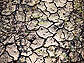 Drought-damaged earth