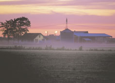 sunset on the farm