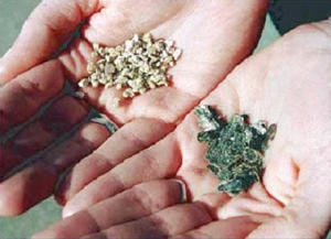 Raw (right hand) and popped (left hand) vermiculite