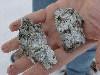 Figure 2. Photograph of a sample of Libby, Montana