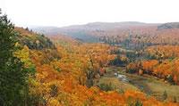 [Photograph]: This photograph shows a landscape view of northern hardwood and riparian forests in the Little Carp River watershed in the upper peninsula of Michigan.