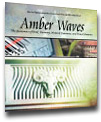 Cover for Amber Waves April 2004 — Information and Innovation Strengthen Food Safety