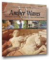 Cover for Amber Waves April 2005 — U.S. Farmers Plan for Retirement
