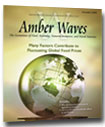 Cover for Amber Waves November 2008 — Many Factors Contribute to Fluctuating Global Food Prices
