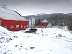 O’Connell farm "before" with huge manure pile next to barn