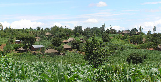 Harvests in three villages have more than doubled.