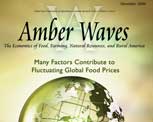Amber Waves cover, November 2008