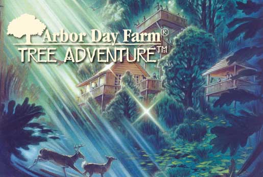 Tree Adventure at Arbor Day Farm