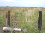 beach access on Kenaitze Indian Tribal land  (NRCS photo)