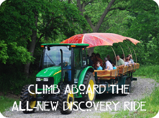 Climb Aboard the Discovery Ride