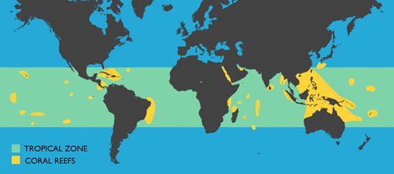 World locations of coral reefs