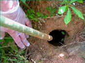 Photo: Close up of the stick being placed in the hole.