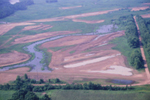 aerial view of wetland area