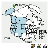 Distribution of Prunus virginiana L. var. melanocarpa (A. Nelson) Sarg.. . Image Available. 