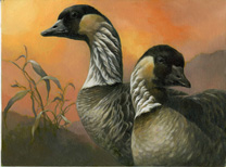 2008-2009 Federal Junior Duck Stamp Art