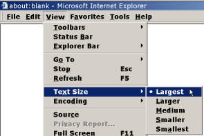 Internet Explorer screen capture as described in the page