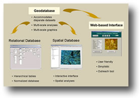 Geodatabase Schema (Colorado icon)