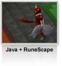 Java + RuneScape