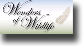 Wonders of Wildlife campaign logo