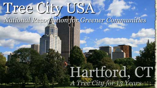 Tree City USA—Do you live in a Tree City USA?