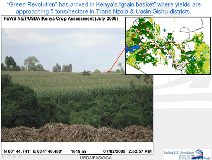 Good yields in Trans Nzoia district