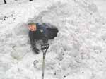 NRCS Chief Arlen Lancaster leaves a snow cave he built.  He took part in a Tahoe-area training session that included lessons in building snow caves for staffers who measure snowfall and who might get stranded (photo courtesy Sacramento Bee/Barbara Barte Osborn -- click to enlarge0