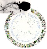 Electron micrograph and genetic map of Methanococcus jannaschii