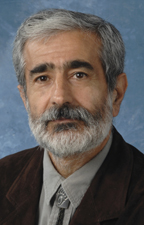 Saed Mirzadeh