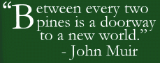 “Between every two pines is a doorway to a new world.		” —John Muir