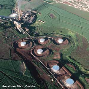 Photo: Sugar plant in Brazil