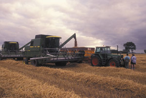 Photo of farm equipment working on a farm