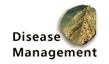 Disease Management