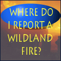 Where to Report A Wildland Fire