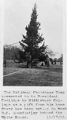 Photo: large tree being erected on a lawn, with the  White House in the background.