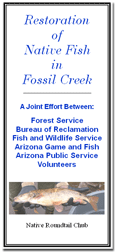 [graphic] Brochure cover: Restoration of Native Fish in Fossil Creek