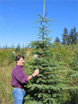 Homer District Conservationist Mark Kenney stands next to a Sitka spruce that grew 36 inches in one year (NRCS photo by Mitch Michaud)
