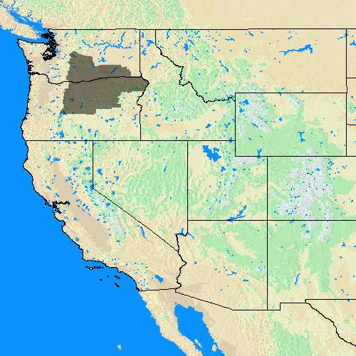 Domain Coverage for Pendleton, OR