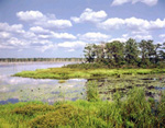 the New Jersey Conservation Foundation’s 9,400-acre Franklin Parker Preserve