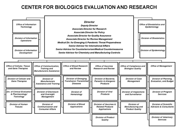 CBER Organizational Chart