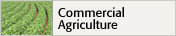 [Commercial Agriculture]