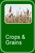 Crops and Grains