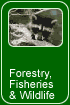 Forestry, Fisheries and Wildlife